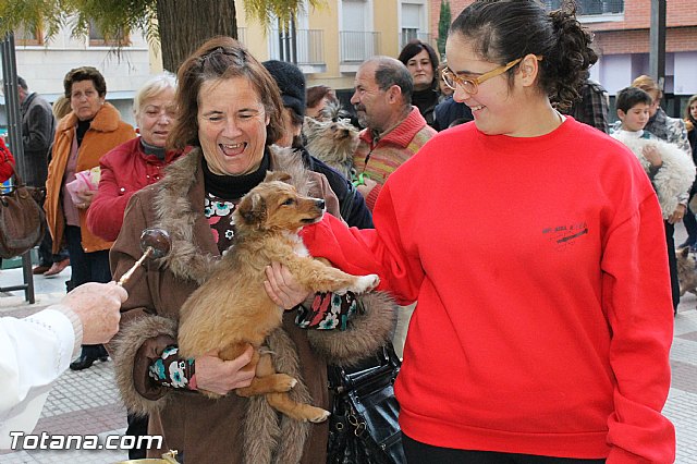 Los animales recibieron la bendicin en el da de su patrn, San Antn Abad - 2013 - 69