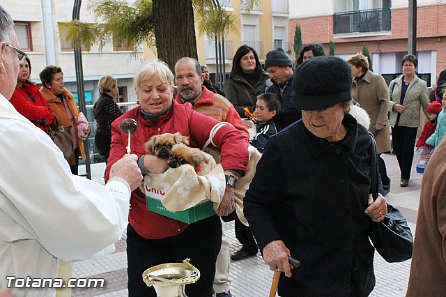Los animales recibieron la bendicin en el da de su patrn, San Antn Abad - 2013 - 70