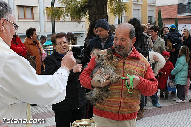 Los animales recibieron la bendicin en el da de su patrn, San Antn Abad - 2013 - 73