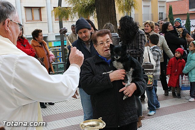 Los animales recibieron la bendicin en el da de su patrn, San Antn Abad - 2013 - 74