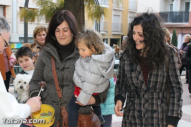 Los animales recibieron la bendicin en el da de su patrn, San Antn Abad - 2013 - 76