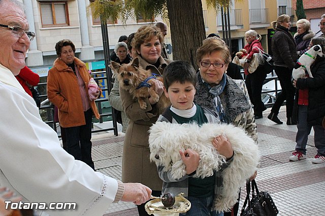 Los animales recibieron la bendicin en el da de su patrn, San Antn Abad - 2013 - 77