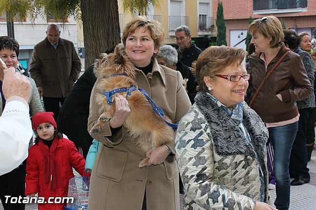 Los animales recibieron la bendicin en el da de su patrn, San Antn Abad - 2013 - 78