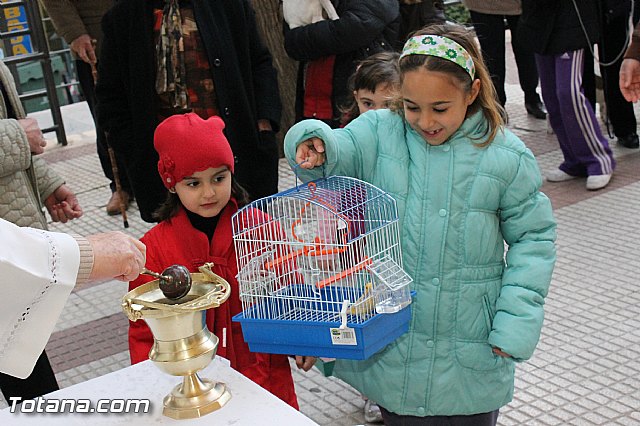 Los animales recibieron la bendicin en el da de su patrn, San Antn Abad - 2013 - 81