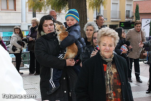 Los animales recibieron la bendicin en el da de su patrn, San Antn Abad - 2013 - 83