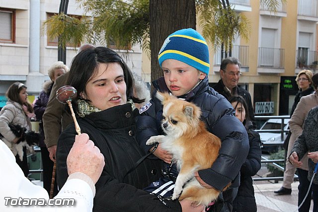 Los animales recibieron la bendicin en el da de su patrn, San Antn Abad - 2013 - 84