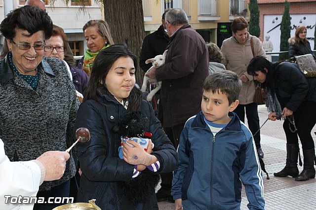Los animales recibieron la bendicin en el da de su patrn, San Antn Abad - 2013 - 86