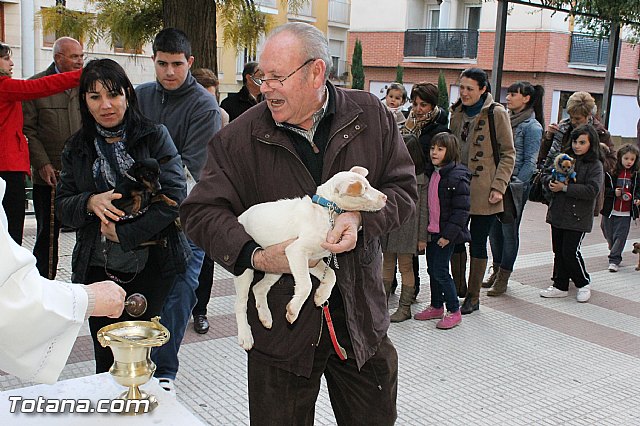 Los animales recibieron la bendicin en el da de su patrn, San Antn Abad - 2013 - 90