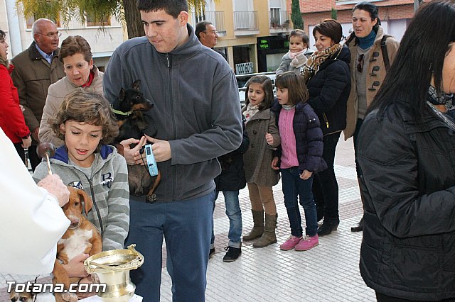 Los animales recibieron la bendicin en el da de su patrn, San Antn Abad - 2013 - 92