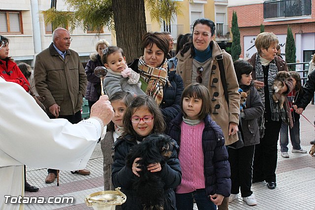 Los animales recibieron la bendicin en el da de su patrn, San Antn Abad - 2013 - 95