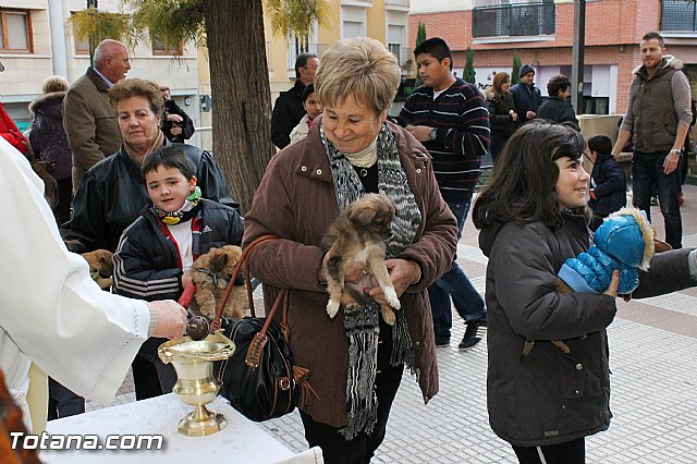 Los animales recibieron la bendicin en el da de su patrn, San Antn Abad - 2013 - 98