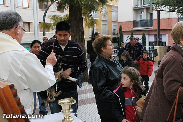 Los animales recibieron la bendicin en el da de su patrn, San Antn Abad - 2013 - 100