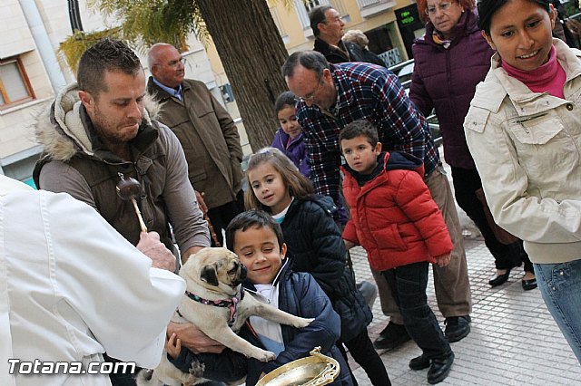 Los animales recibieron la bendicin en el da de su patrn, San Antn Abad - 2013 - 101