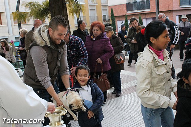 Los animales recibieron la bendicin en el da de su patrn, San Antn Abad - 2013 - 102