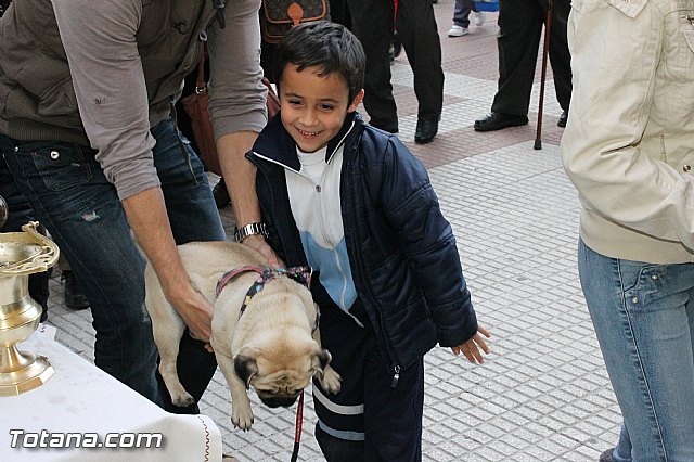 Los animales recibieron la bendicin en el da de su patrn, San Antn Abad - 2013 - 103