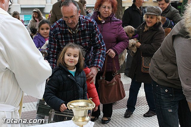 Los animales recibieron la bendicin en el da de su patrn, San Antn Abad - 2013 - 104