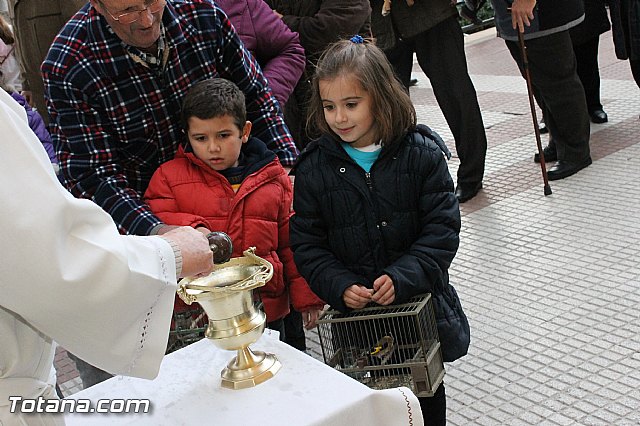 Los animales recibieron la bendicin en el da de su patrn, San Antn Abad - 2013 - 105