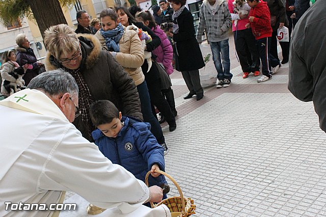 Los animales recibieron la bendicin en el da de su patrn, San Antn Abad - 2013 - 112