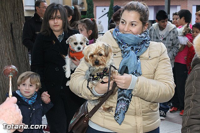 Los animales recibieron la bendicin en el da de su patrn, San Antn Abad - 2013 - 114