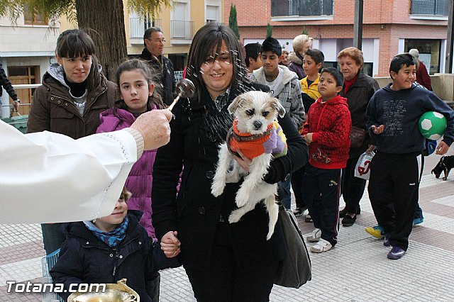Los animales recibieron la bendicin en el da de su patrn, San Antn Abad - 2013 - 115