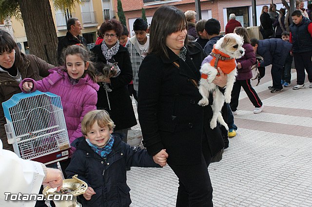 Los animales recibieron la bendicin en el da de su patrn, San Antn Abad - 2013 - 116