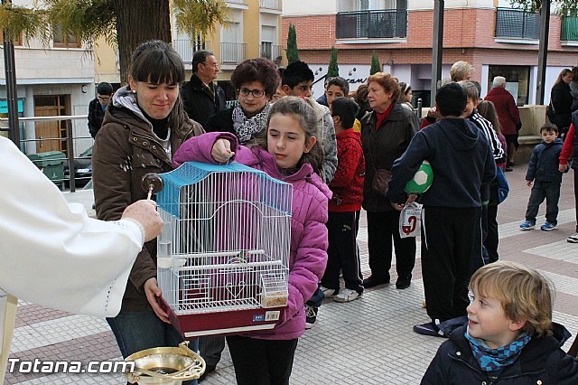 Los animales recibieron la bendicin en el da de su patrn, San Antn Abad - 2013 - 117