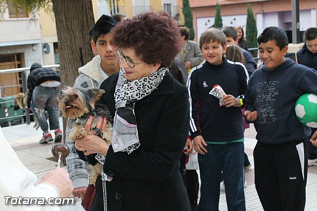 Los animales recibieron la bendicin en el da de su patrn, San Antn Abad - 2013 - 118