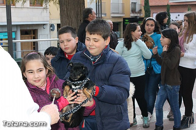 Los animales recibieron la bendicin en el da de su patrn, San Antn Abad - 2013 - 123