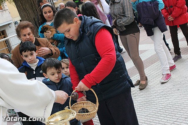 Los animales recibieron la bendicin en el da de su patrn, San Antn Abad - 2013 - 124