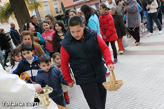 Los animales recibieron la bendicin en el da de su patrn, San Antn Abad - 2013 - 125