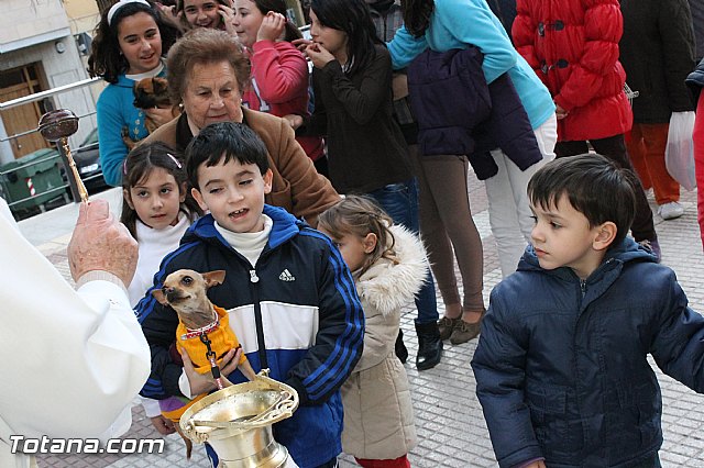 Los animales recibieron la bendicin en el da de su patrn, San Antn Abad - 2013 - 126