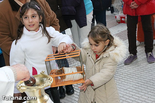 Los animales recibieron la bendicin en el da de su patrn, San Antn Abad - 2013 - 128