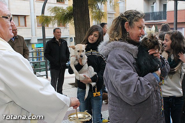 Los animales recibieron la bendicin en el da de su patrn, San Antn Abad - 2013 - 131