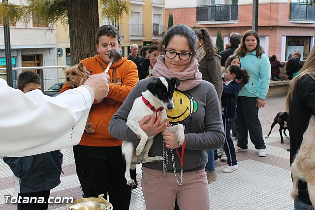 Los animales recibieron la bendicin en el da de su patrn, San Antn Abad - 2013 - 133