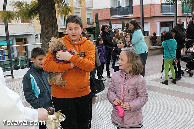 Los animales recibieron la bendicin en el da de su patrn, San Antn Abad - 2013 - 134