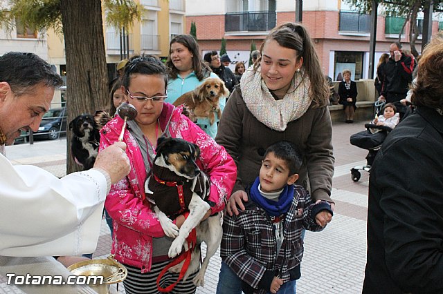 Los animales recibieron la bendicin en el da de su patrn, San Antn Abad - 2013 - 136