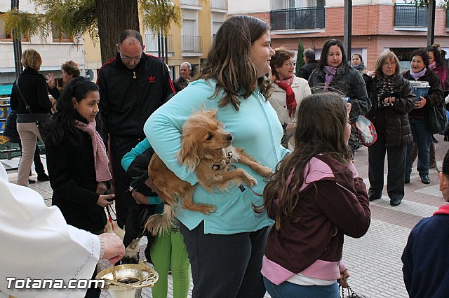 Los animales recibieron la bendicin en el da de su patrn, San Antn Abad - 2013 - 138