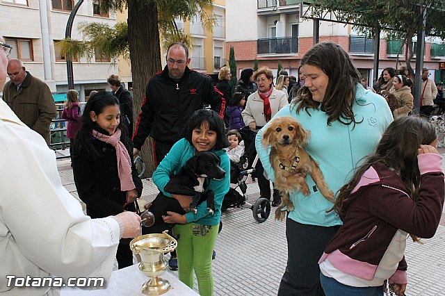 Los animales recibieron la bendicin en el da de su patrn, San Antn Abad - 2013 - 139