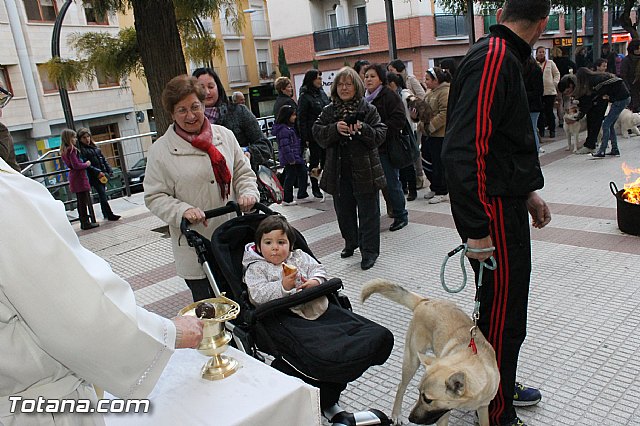 Los animales recibieron la bendicin en el da de su patrn, San Antn Abad - 2013 - 141