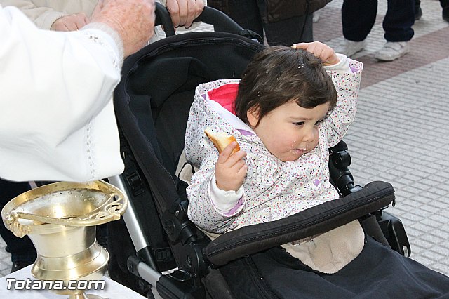 Los animales recibieron la bendicin en el da de su patrn, San Antn Abad - 2013 - 142