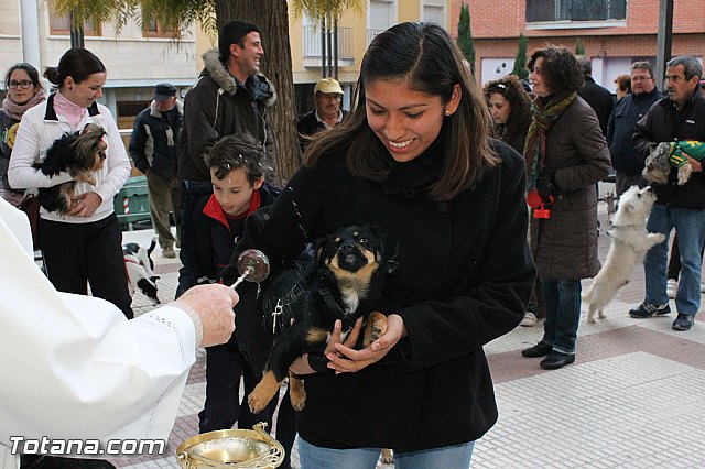 Los animales recibieron la bendicin en el da de su patrn, San Antn Abad - 2013 - 152