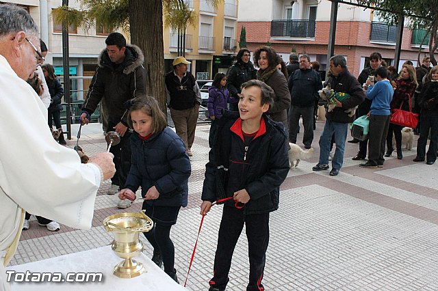 Los animales recibieron la bendicin en el da de su patrn, San Antn Abad - 2013 - 153