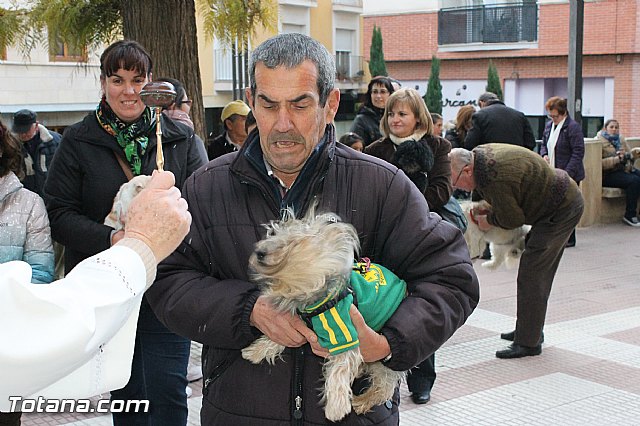 Los animales recibieron la bendicin en el da de su patrn, San Antn Abad - 2013 - 159