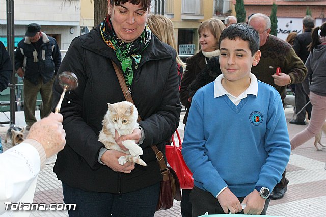 Los animales recibieron la bendicin en el da de su patrn, San Antn Abad - 2013 - 160