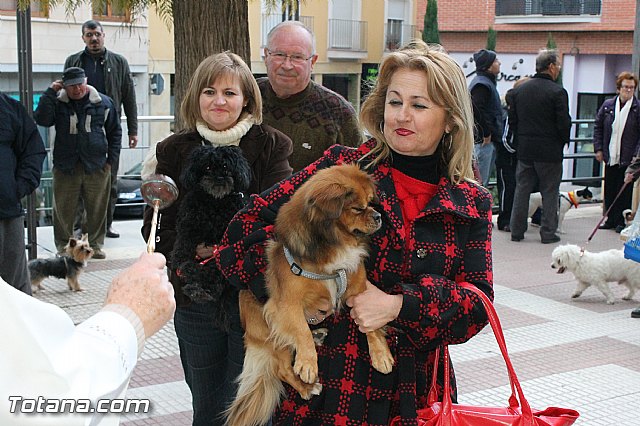 Los animales recibieron la bendicin en el da de su patrn, San Antn Abad - 2013 - 161