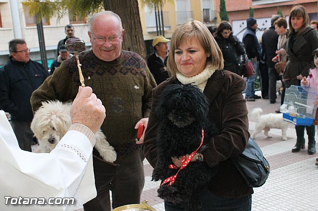 Los animales recibieron la bendicin en el da de su patrn, San Antn Abad - 2013 - 162