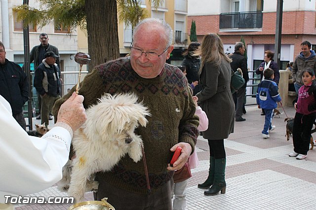 Los animales recibieron la bendicin en el da de su patrn, San Antn Abad - 2013 - 163