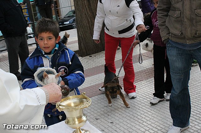 Los animales recibieron la bendicin en el da de su patrn, San Antn Abad - 2013 - 166