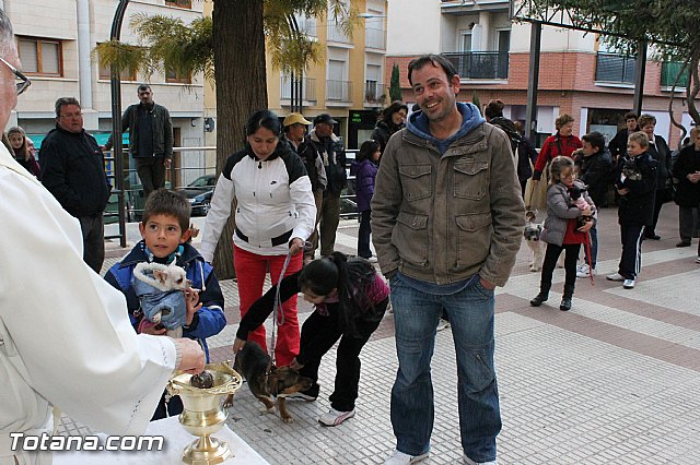Los animales recibieron la bendicin en el da de su patrn, San Antn Abad - 2013 - 167