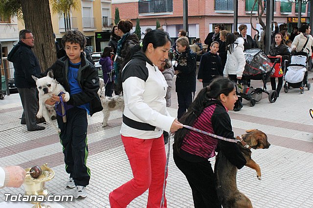 Los animales recibieron la bendicin en el da de su patrn, San Antn Abad - 2013 - 169